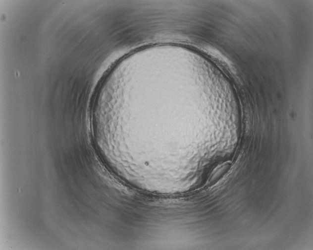 X0000071831280200607290033