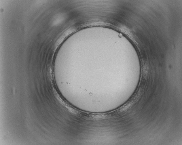 X0000071831282200607290033