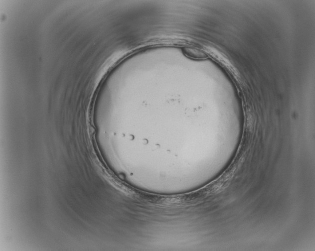 X0000071831283200607290033