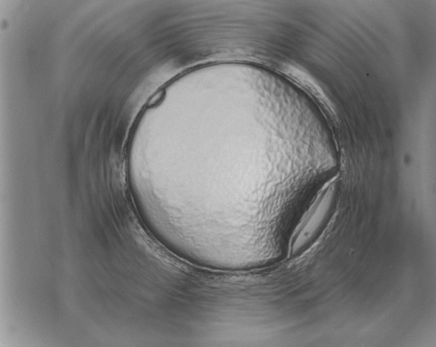 X0000071831284200607290033