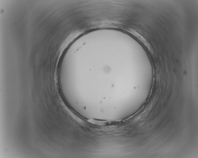 X0000071831285200607290033