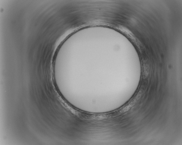 X0000071831286200607290033