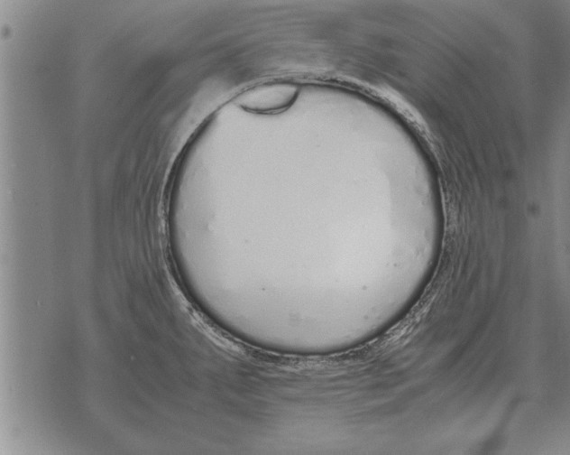 X0000071831287200607290033