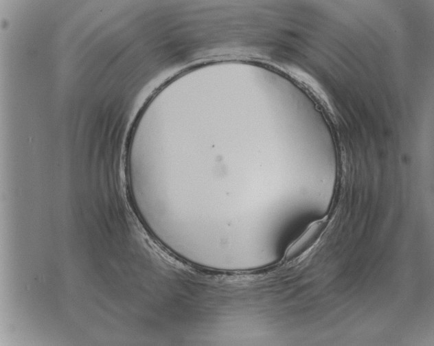 X0000071831288200607290033