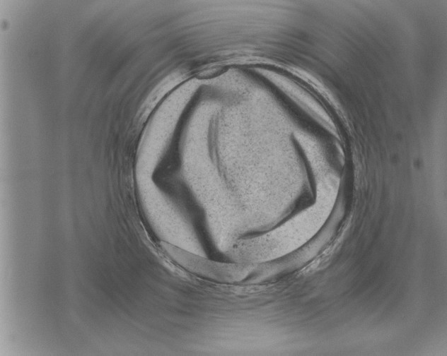 X0000071831289200607290033