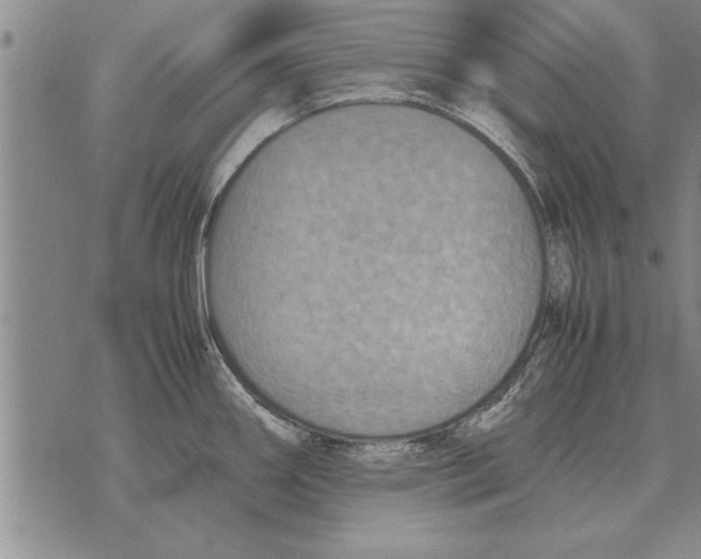 X0000071831290200607290033