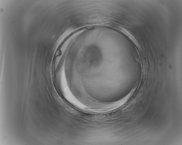 X0000071831291200607290033