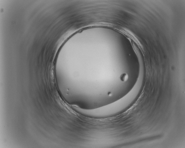 X0000071831292200607290033