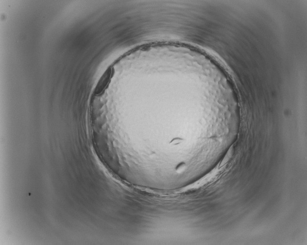 X0000071831295200607290033