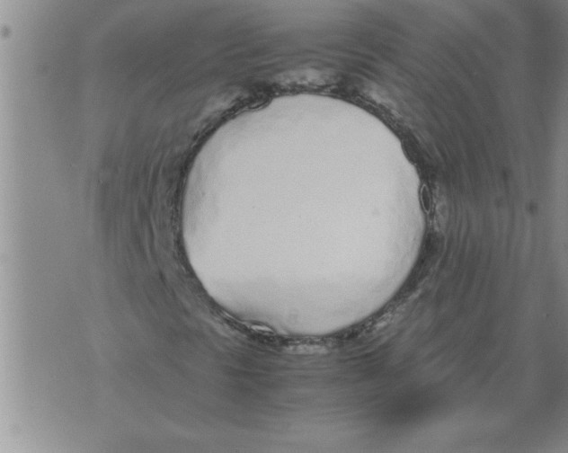 X0000071831297200607290032