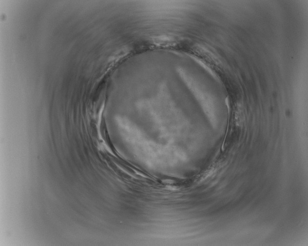 X0000071831298200607290032