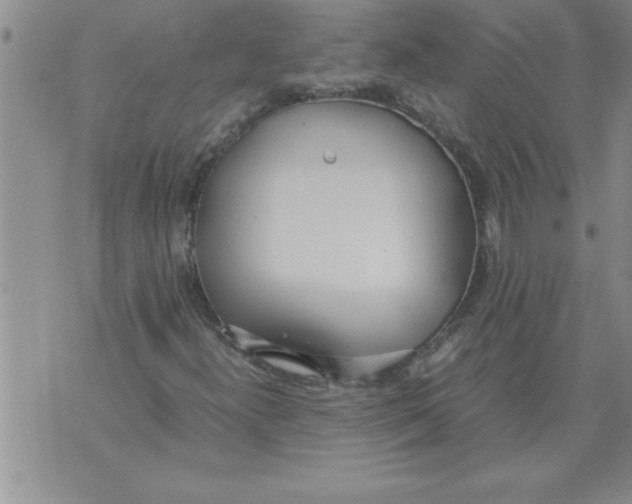 X0000071831300200607290032