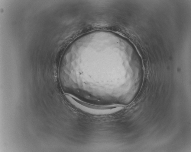 X0000071831301200607290032