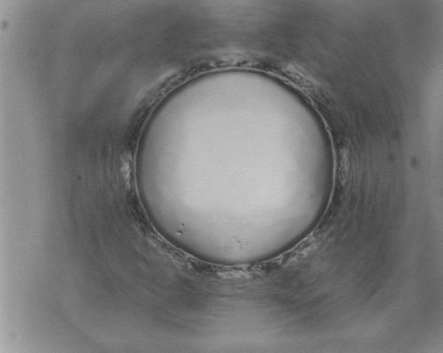 X0000071831302200607290032