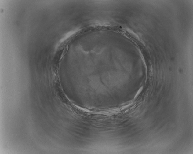 X0000071831303200607290032