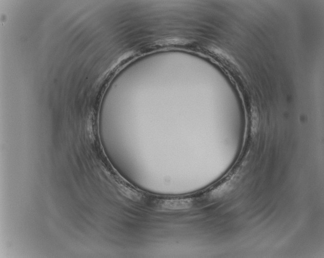 X0000071831305200607290032