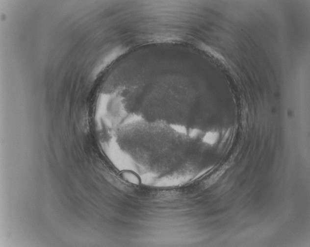 X0000071831306200607290032