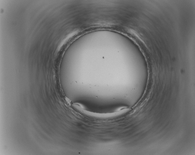 X0000071831307200607290032