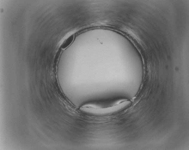 X0000071831308200607290032