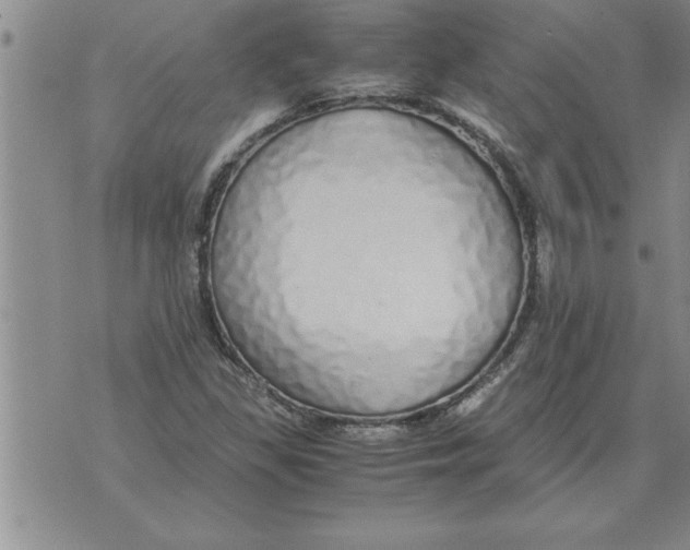 X0000071831309200607290032