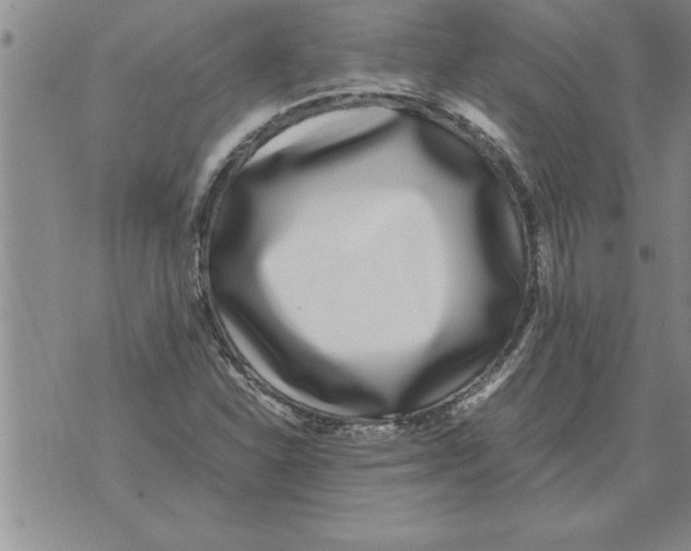 X0000071831310200607290032