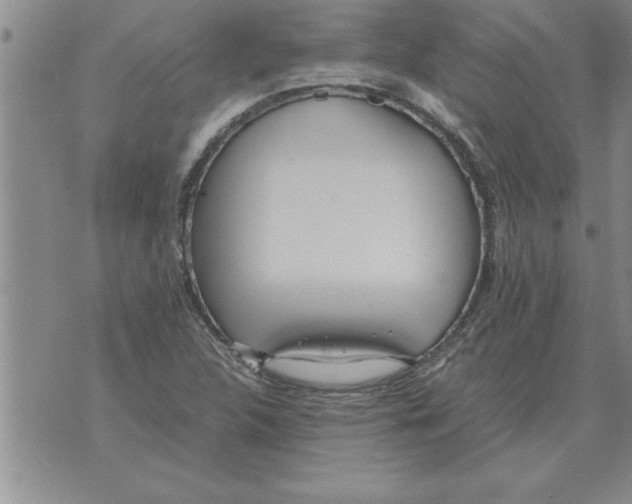 X0000071831312200607290032