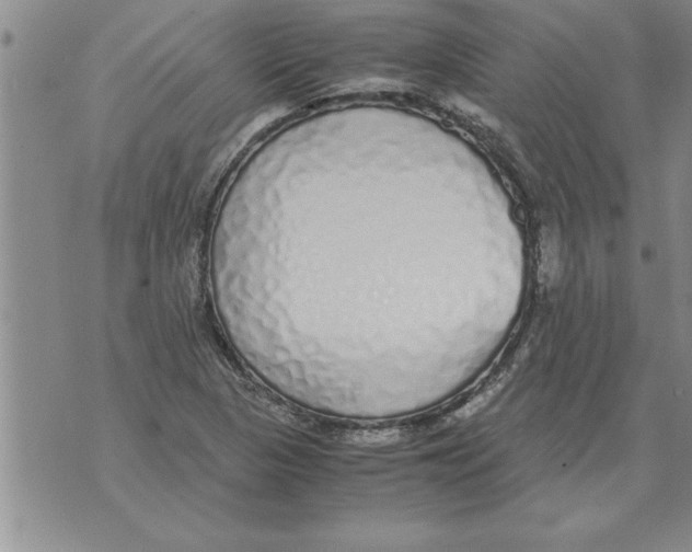 X0000071831313200607290032