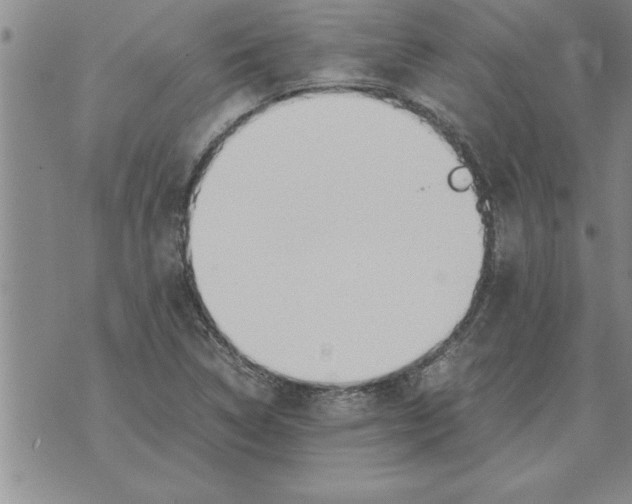 X0000071831314200607290032