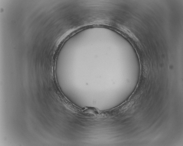 X0000071831316200607290032