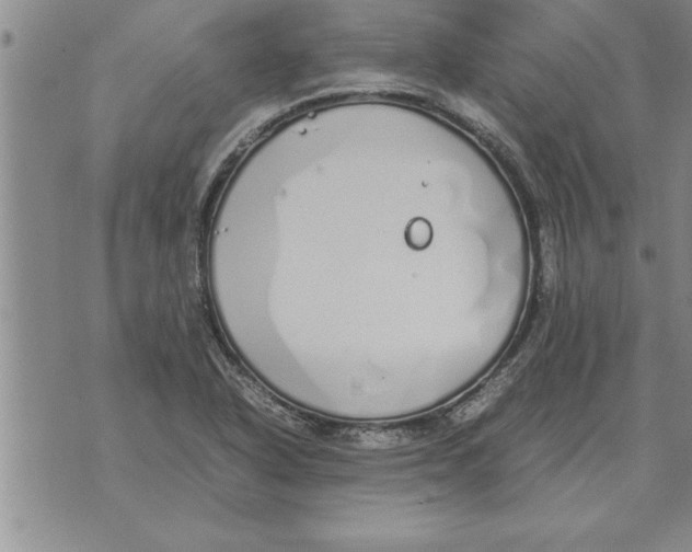 X0000071831318200607290032