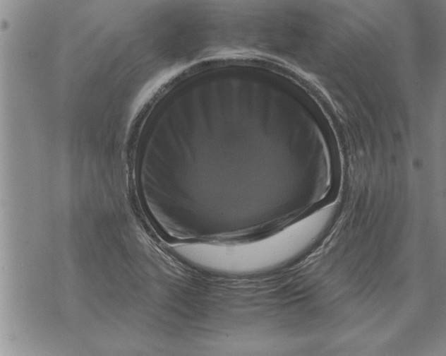 X0000071831319200607290032