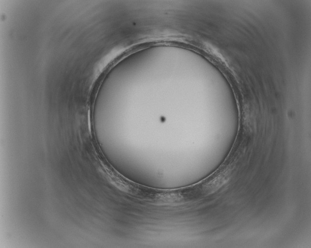 X0000071831320200607290032