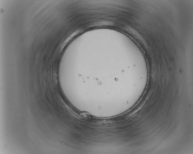 X0000071831321200607290032