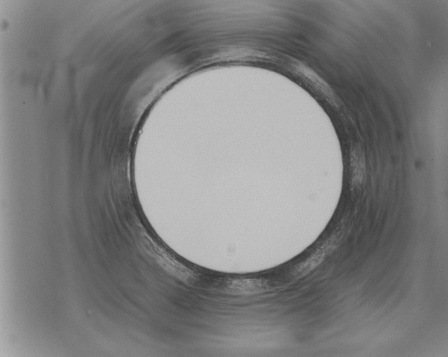 X0000071831322200607290032