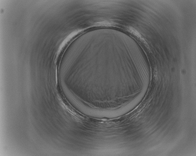 X0000071831323200607290032