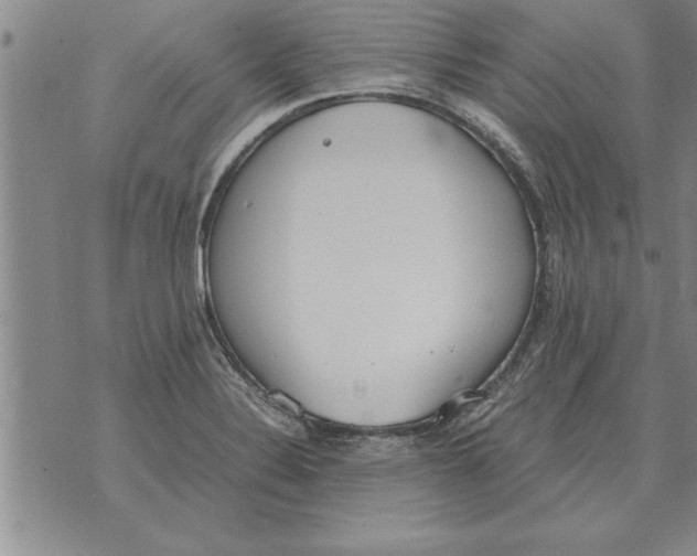 X0000071831324200607290032