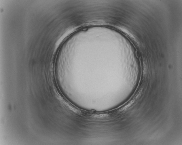 X0000071831325200607290032