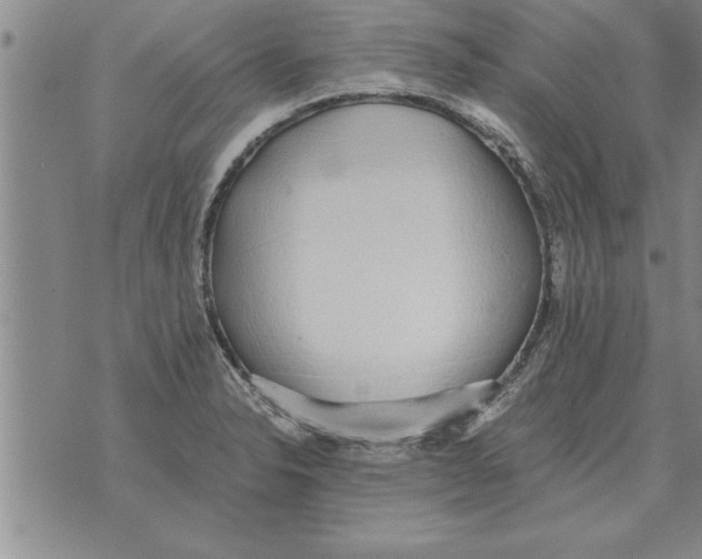 X0000071831326200607290032