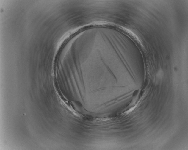 X0000071831327200607290032