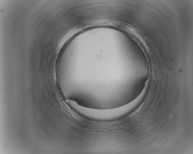 X0000071831328200607290032