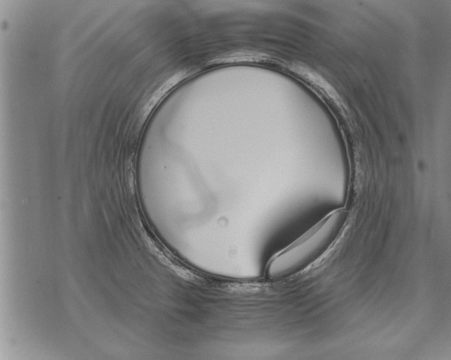 X0000071831329200607290032