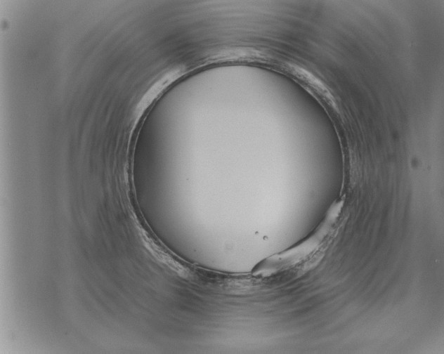 X0000071831330200607290032