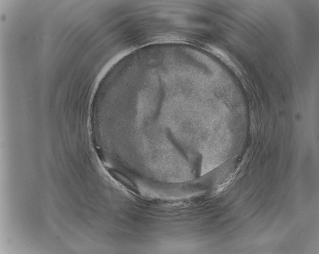 X0000071831331200607290032