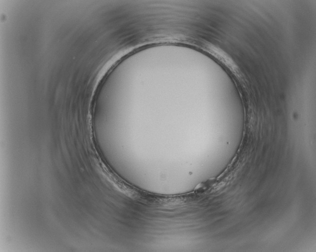 X0000071831332200607290032