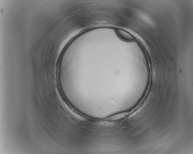 X0000071831333200607290033