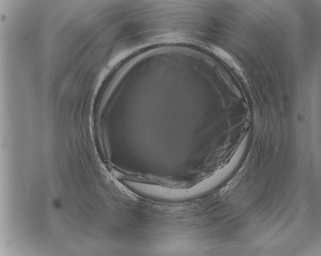 X0000071831334200607290033