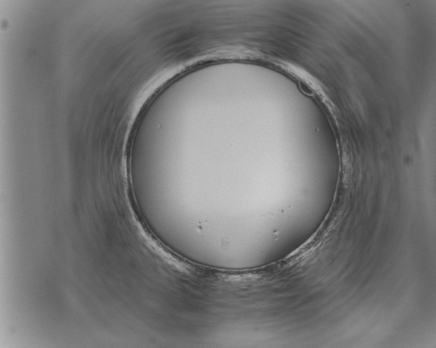 X0000071831335200607290033