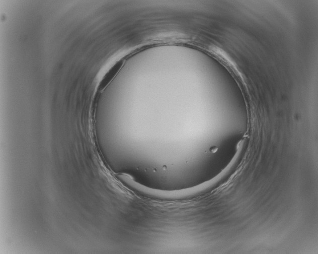 X0000071831336200607290033