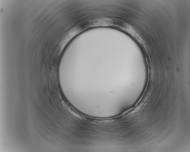 X0000071831337200607290033