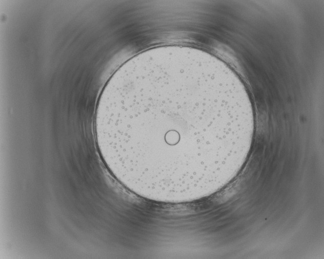 X0000071831338200607290033